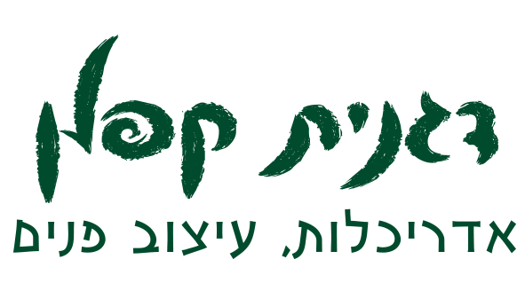 בית פרטי בהוד השרון 26